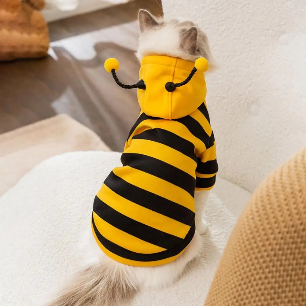Winter Clothing For Dogs - الحيوانات الأليفة القطط الملابس هريرة الاشياء