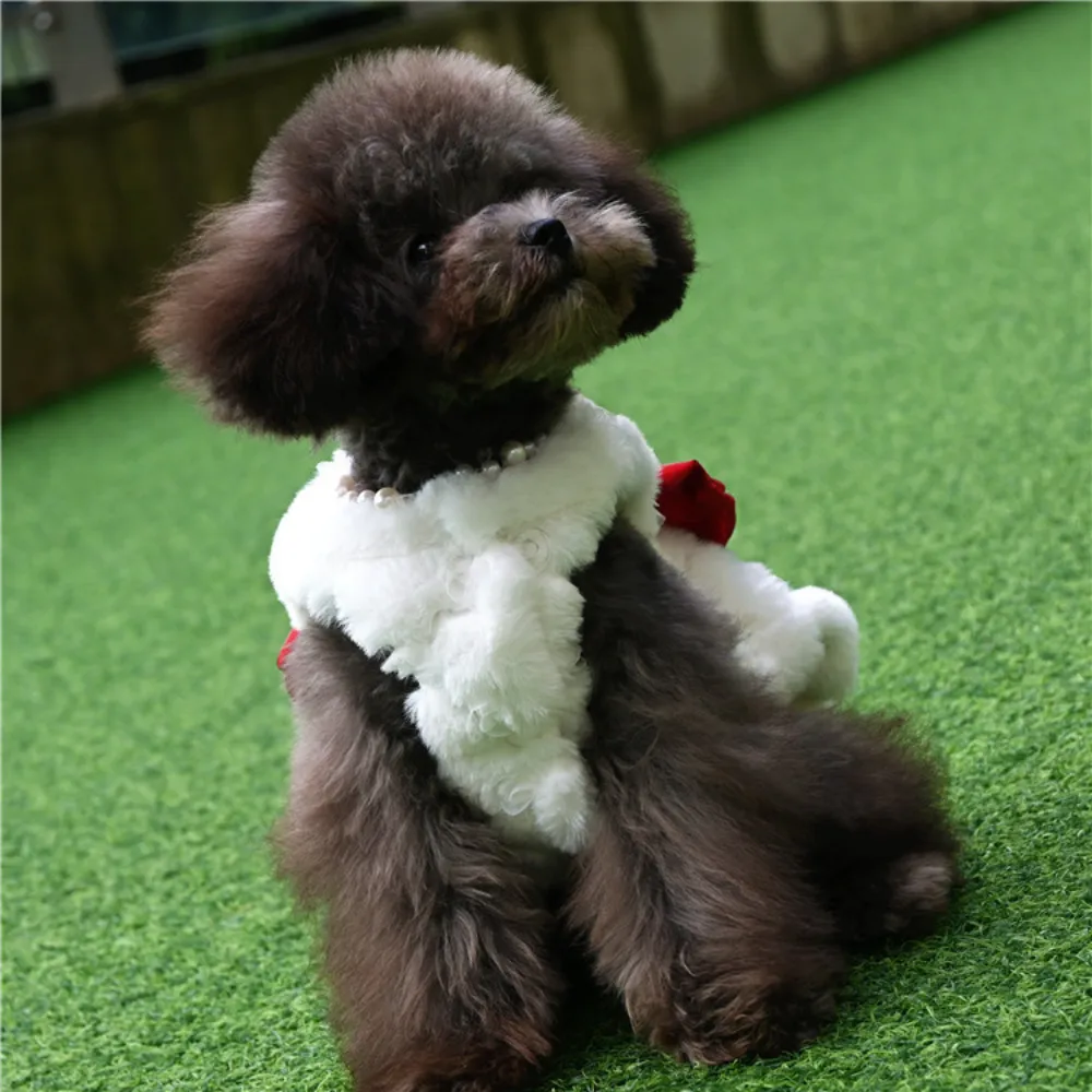 Winter Clothing For Dogs - الحيوانات الأليفة أرنب الفراء فستان الملابس