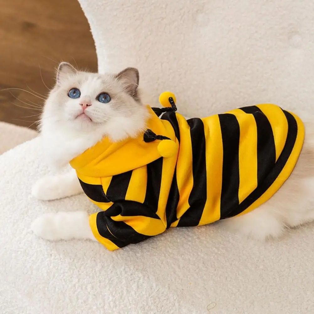 الحيوانات الأليفة القطط الملاب - مراجعة Winter Clothing For Dogs وسعره