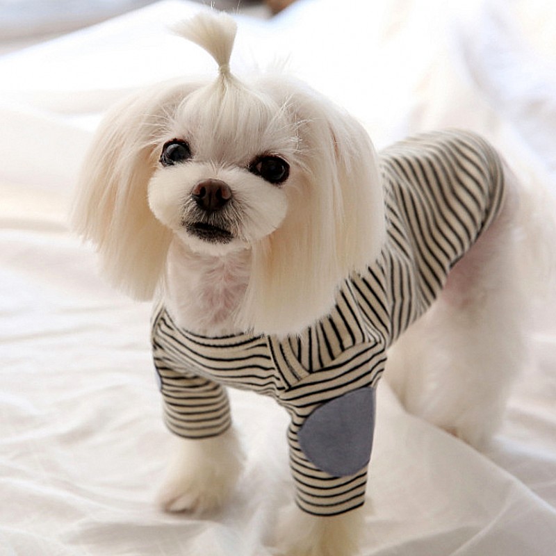 رقيقة كلب هوديس الصوف الكلب ست - مراجعة Winter Clothing For Dogs وسعره
