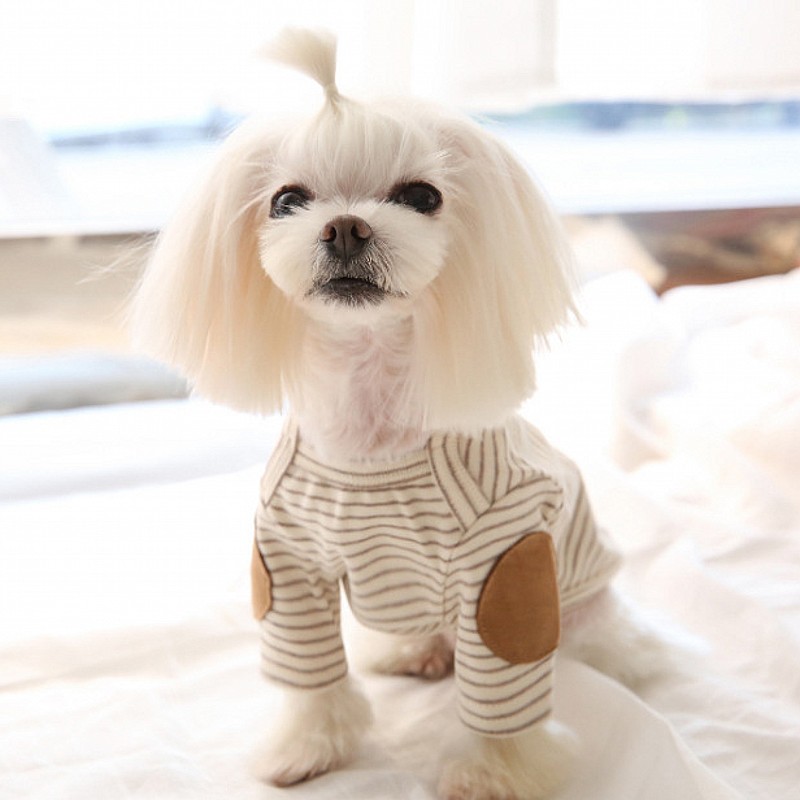 رقيقة كلب هوديس الصوف الكلب ست - مراجعة Winter Clothing For Dogs وسعره