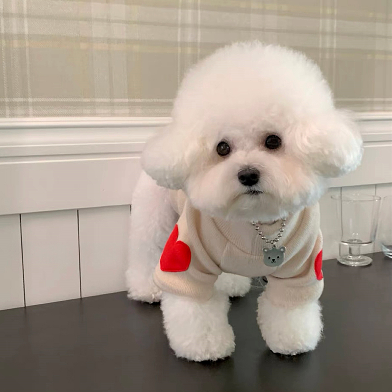قميص سفلي دافئ لحب الحيوانات ا - مراجعة Winter Clothing For Dogs وسعره