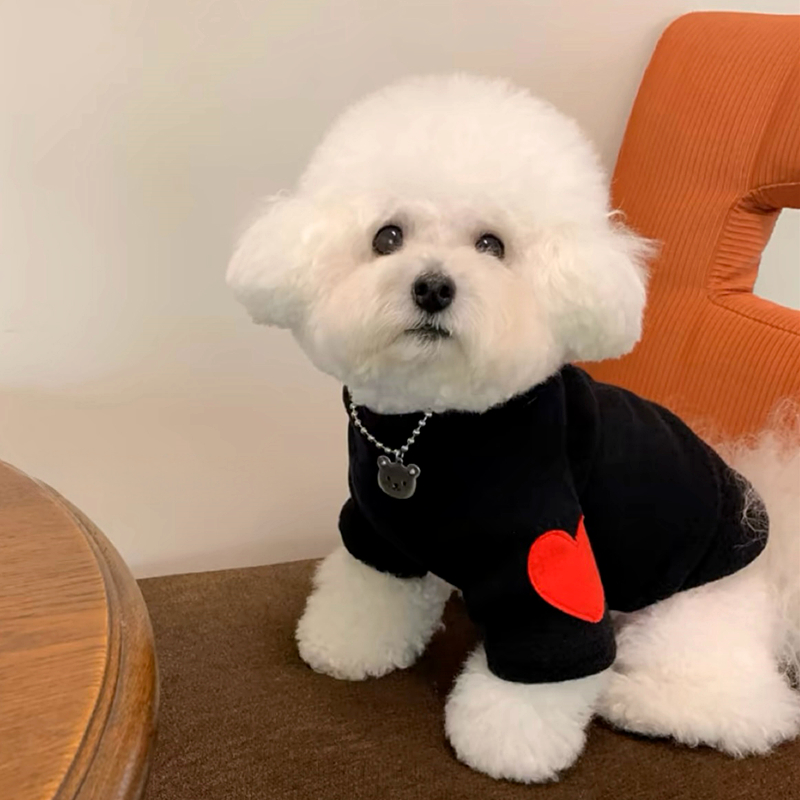 قميص سفلي دافئ لحب الحيوانات ا - مراجعة Winter Clothing For Dogs وسعره