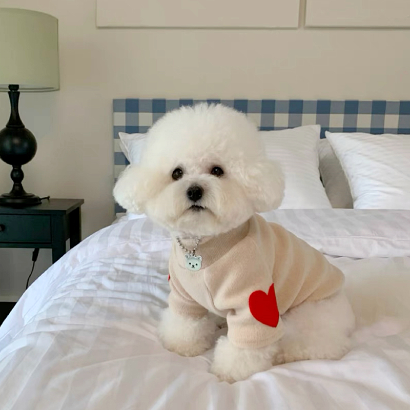 قميص سفلي دافئ لحب الحيوانات ا - مراجعة Winter Clothing For Dogs وسعره