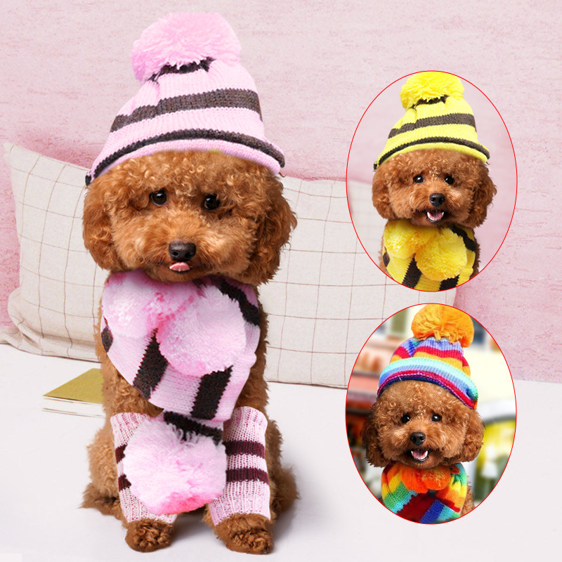 قوس قزح شريط محبوك الكلب الشتا - مراجعة Winter Clothing Leg Warmers وسعره
