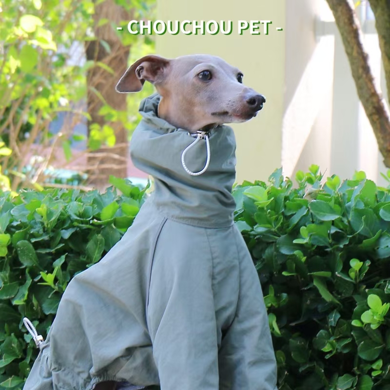 معطف واق من المطر السلوقي الإي - مراجعة Winter Clothing For Dogs وسعره
