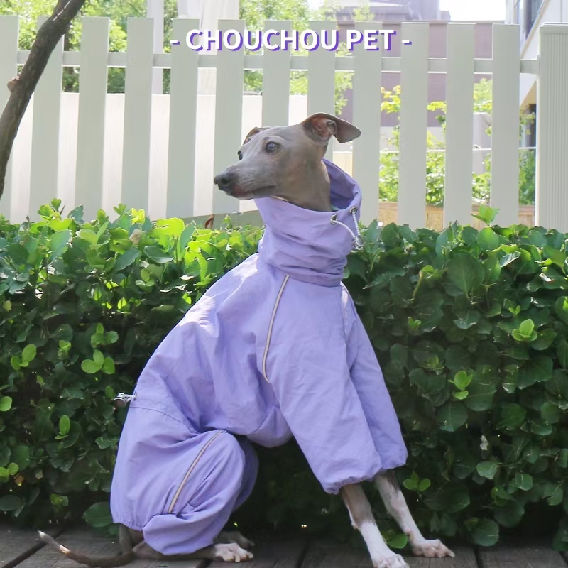 معطف واق من المطر السلوقي الإي - مراجعة Winter Clothing For Dogs وسعره