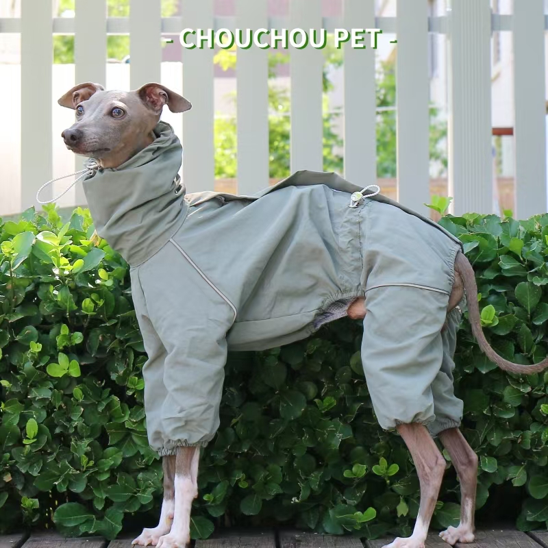معطف واق من المطر السلوقي الإي - مراجعة Winter Clothing For Dogs وسعره