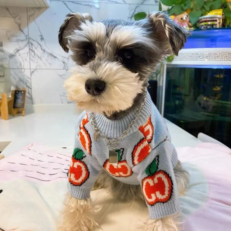 رسالة سترة كلب الملابس القطن ا - مراجعة Winter Clothing For Dogs وسعره