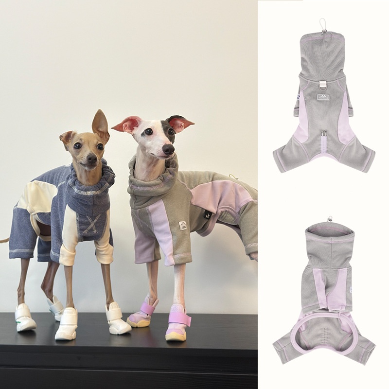 ملابس الكلاب للخريف والشتاء ال - مراجعة Winter Clothing Leg Warmers وسعره