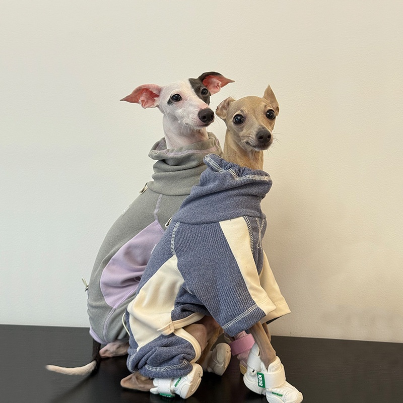 ملابس الكلاب للخريف والشتاء ال - مراجعة Winter Clothing Leg Warmers وسعره