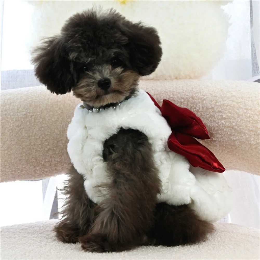 الحيوانات الأليفة أرنب الفراء  - مراجعة Winter Clothing For Dogs وسعره