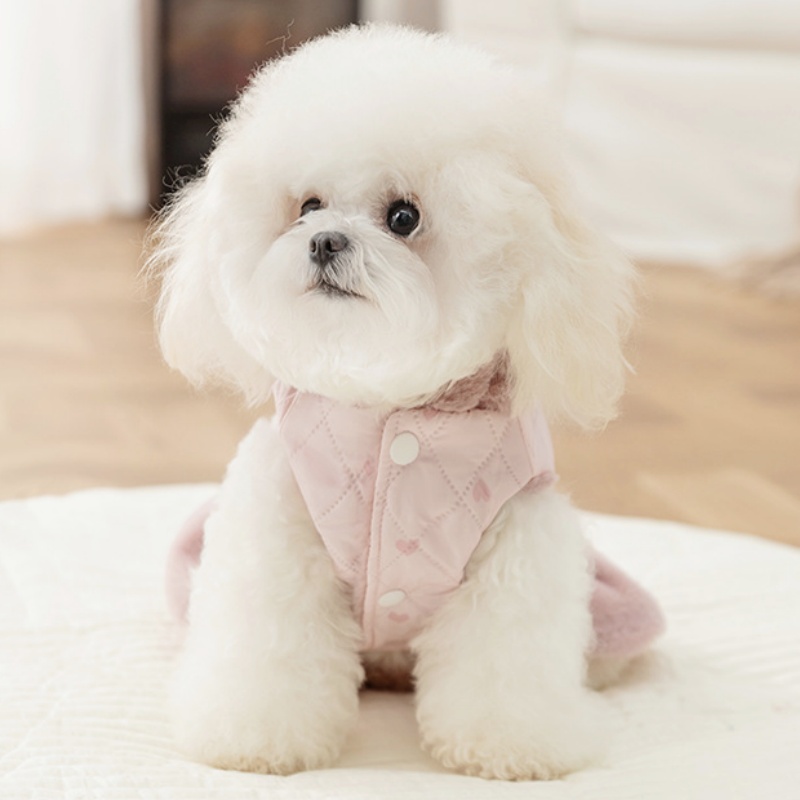 الشتاء الدافئة الكلب سترة فستا - مراجعة Winter Clothing For Dogs وسعره
