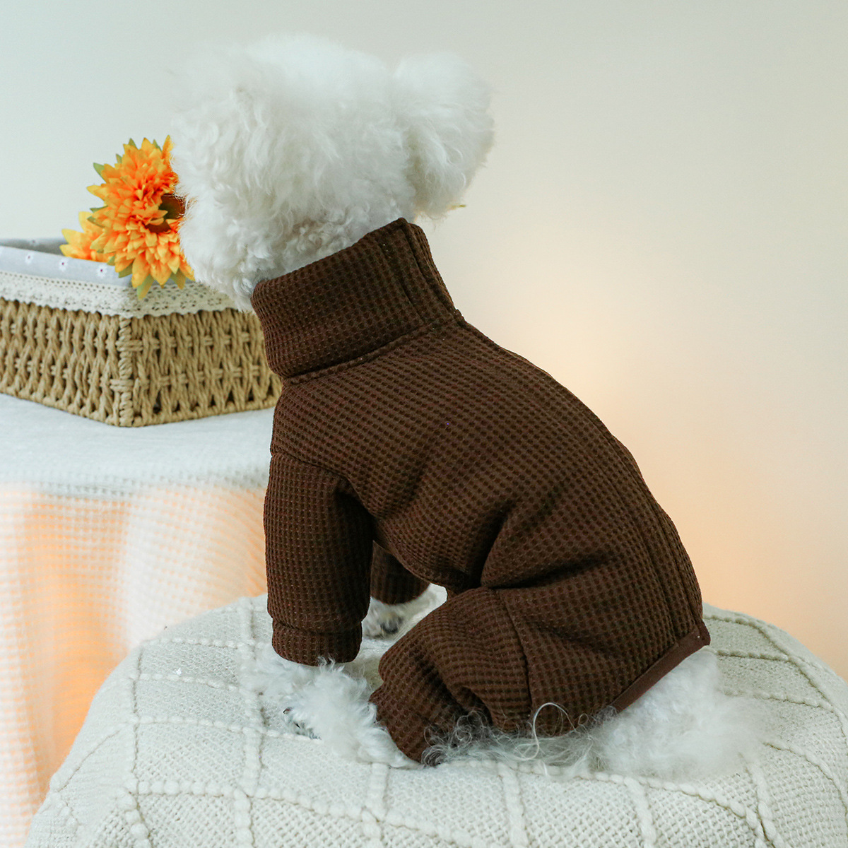 أزياء الشتاء للكلاب الخريف الد - مراجعة Winter Clothing For Dogs وسعره