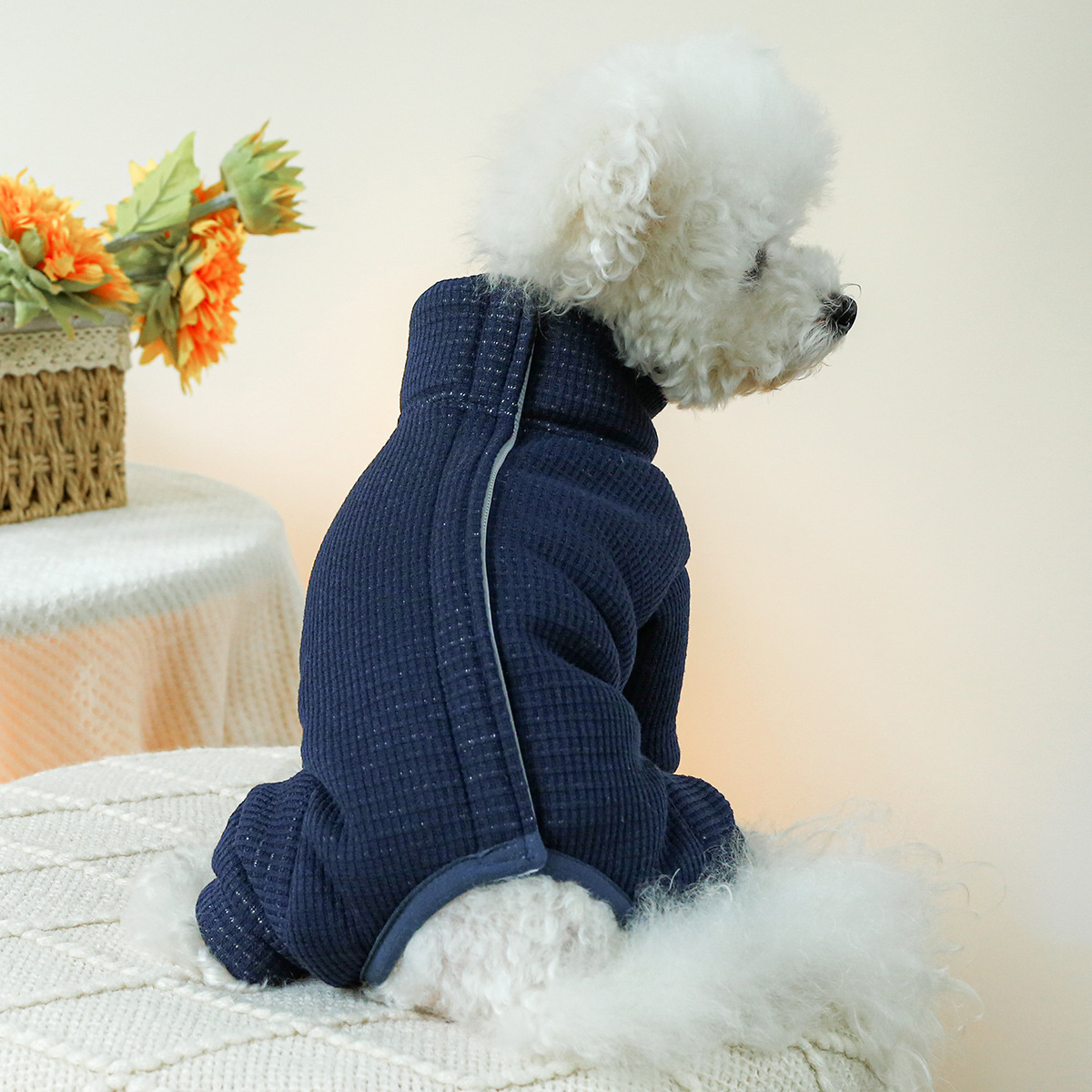 أزياء الشتاء للكلاب الخريف الد - مراجعة Winter Clothing For Dogs وسعره